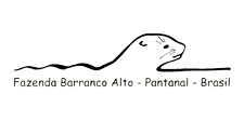 Fazenda Barranco Alto