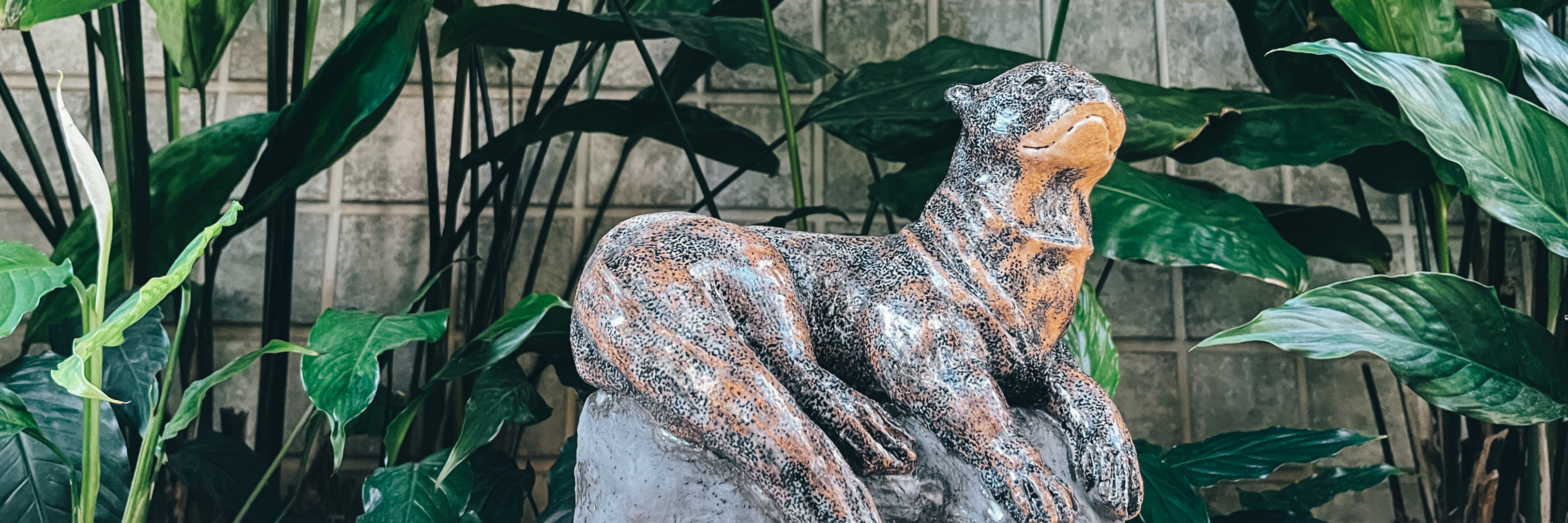 Art for Conservation: Giant Otter Project Partners with Artist Marcela Salles